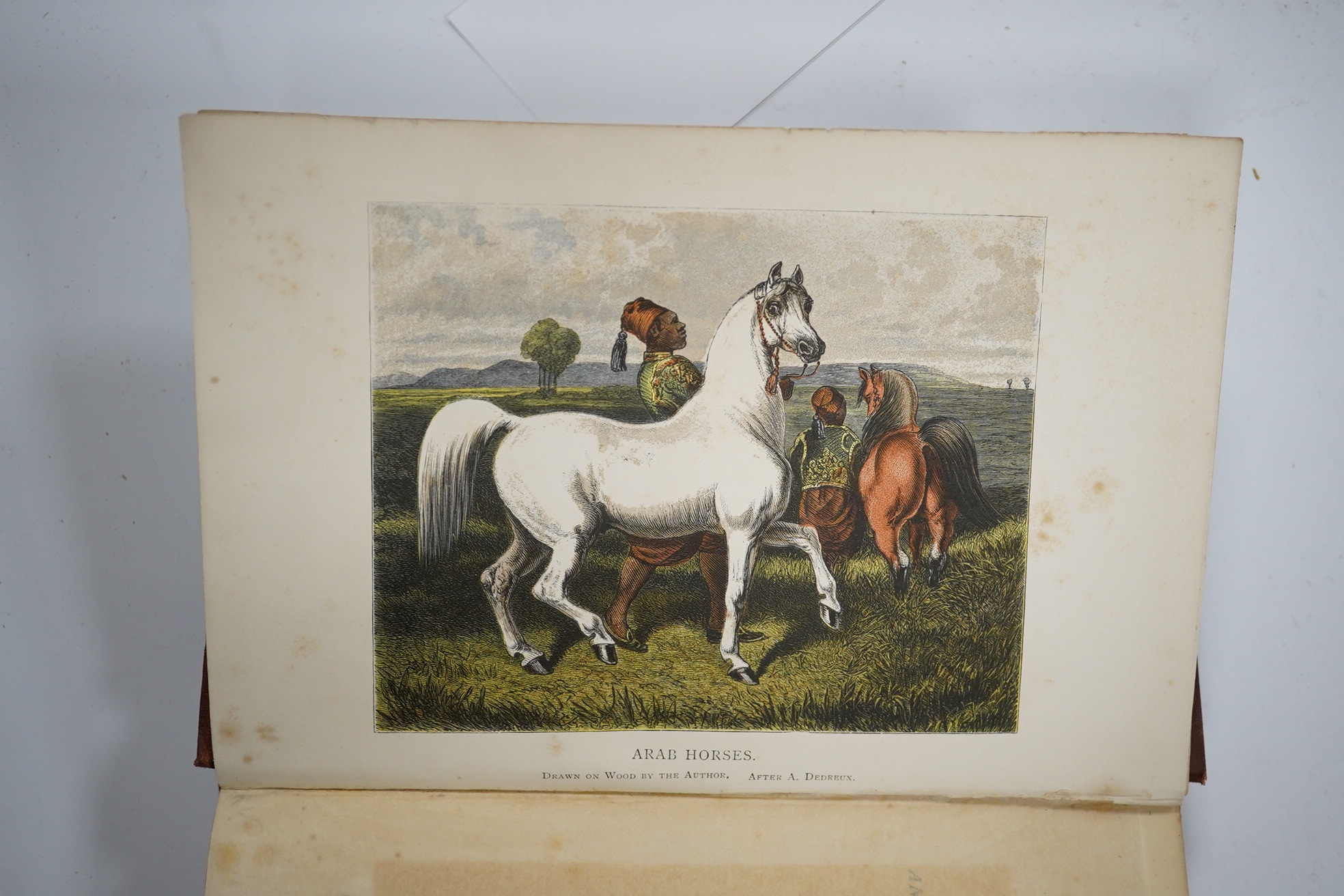 Upton, Roger D. - Newmarket and Arabia: an examination of the descent of racers and coursers. hand coloured frontis. and 4 folded tables; original gilt pictorial cloth, cr. 8vo. 1873